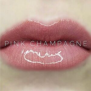 LipSense long lasting liquid lip color